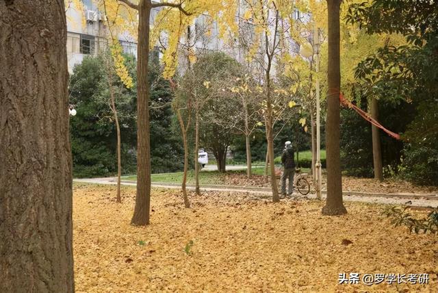 河大的奖助学金知多少？(助学金评审方法)