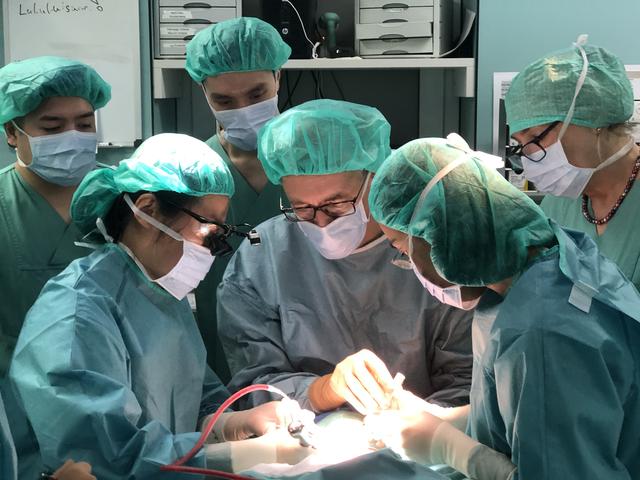 牙医在职进修（李医师在职取得德国硕士学位成功经验分享）