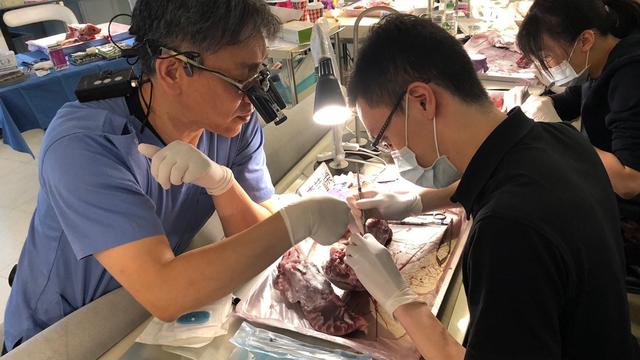 牙医在职进修（李医师在职取得德国硕士学位成功经验分享）