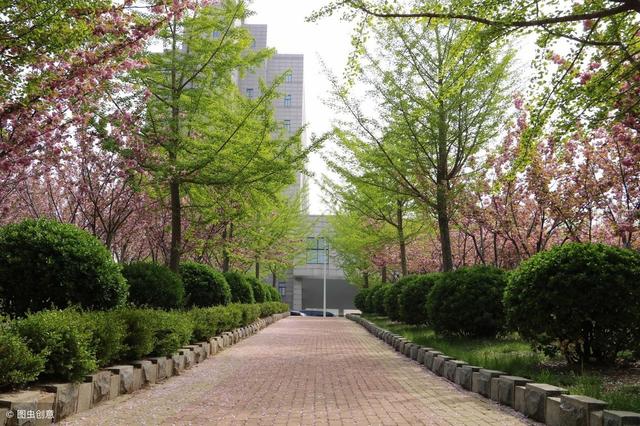 东北财经大学2016-2018年各省份批次投档分数统计（东北财经大学往年录取分数线）