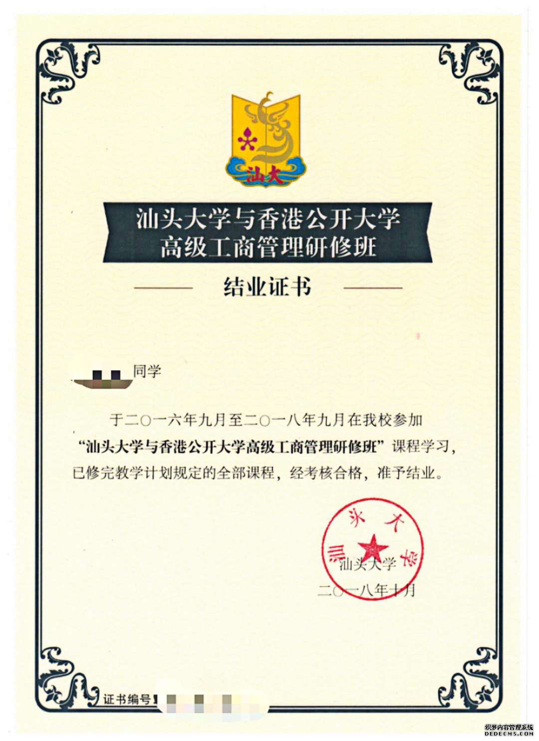 校友专访|李松：将热爱的事情做成事业，便成了
